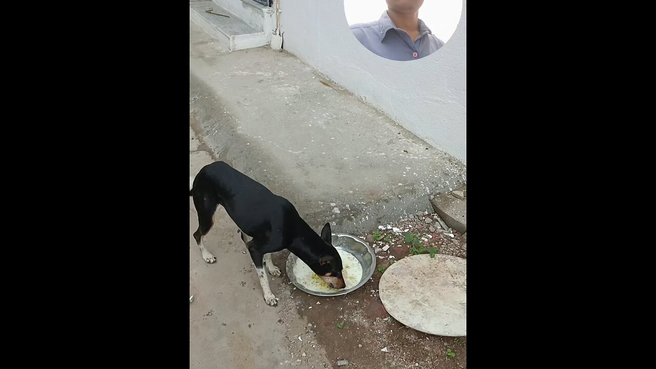 jivdaya mehsana Gujarat