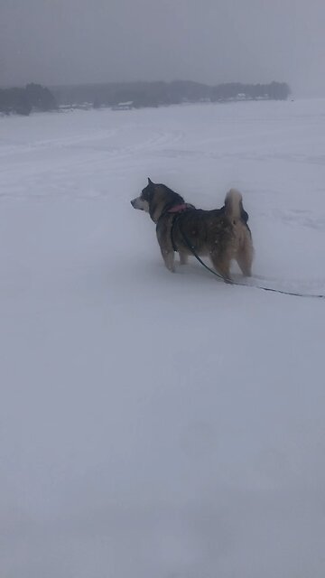 Saturday February 15, Let us see your miracles again