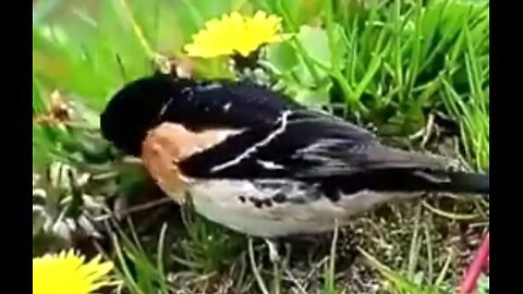 THE POWER OF A DISCERNING SPIRIT - DAILY DEVOTIONAL ❤️