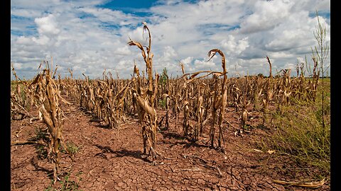God In The Time Of Famine