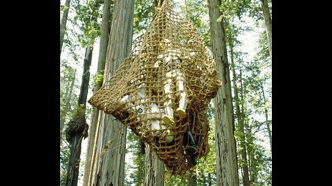 Like A rat Caught In A Trap