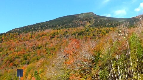 Fall Foliage