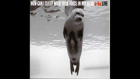 A-ha - How Can I Sleep with Your Voice in My Head (2003) [Complete 2xCD] Live