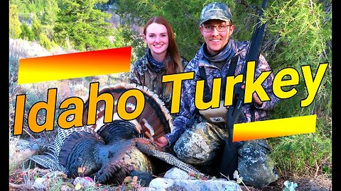 Beautiful Thunder Chicken | Turkey Hunting | Idaho Turkey Hunt 2020 | Strutting Turkey