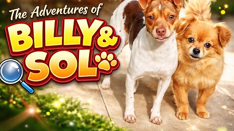 The Hilarious Adventures of Billy and Sol: Canine Mischief 2026
