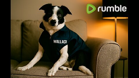 Black White Dog Sitting Sofa WALLACE Jacket