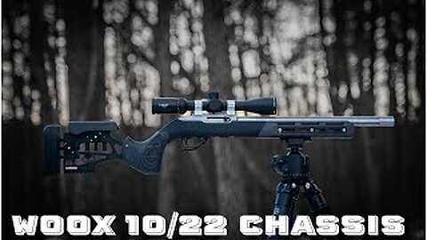 Suppressed Ruger 10/22 WOOX Furiosa Chassis