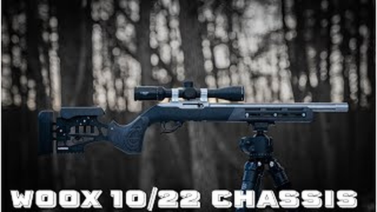 Suppressed Ruger 10/22 WOOX Furiosa Chassis