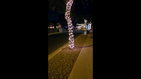 AZ Christmas Tree