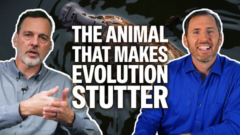 The Platypus Paradox For Evolution | Eric Hovind & Dr. Brian Thomas | Creation Today Show #454