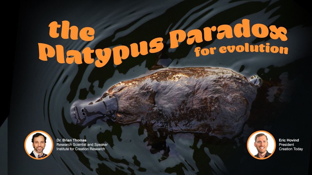 The Platypus Paradox For Evolution | Eric Hovind & Dr. Brian Thomas | Creation Today Show #454