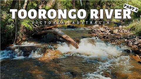 Tooronga River (Part 2) - Victoria Australia