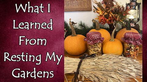 What I Learned from Resting My Garden