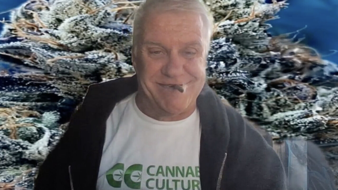 The THC Show with Glenn Wells: Episode 305