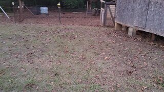 Refilling the deer feeders.