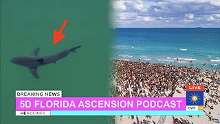 5d Florida Ascension Podcast #3: Spring Break PsyOp & Great White Sharknado!