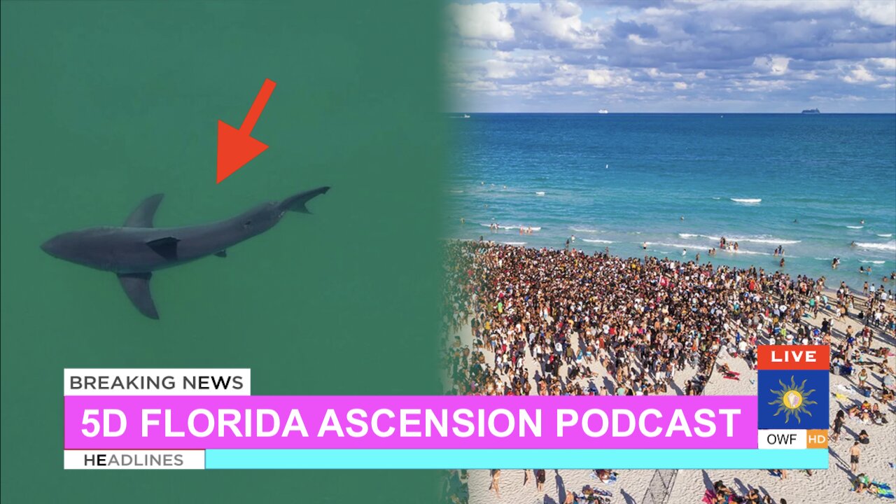 5d Florida Ascension Podcast #3: Spring Break PsyOp & Great White Sharknado!