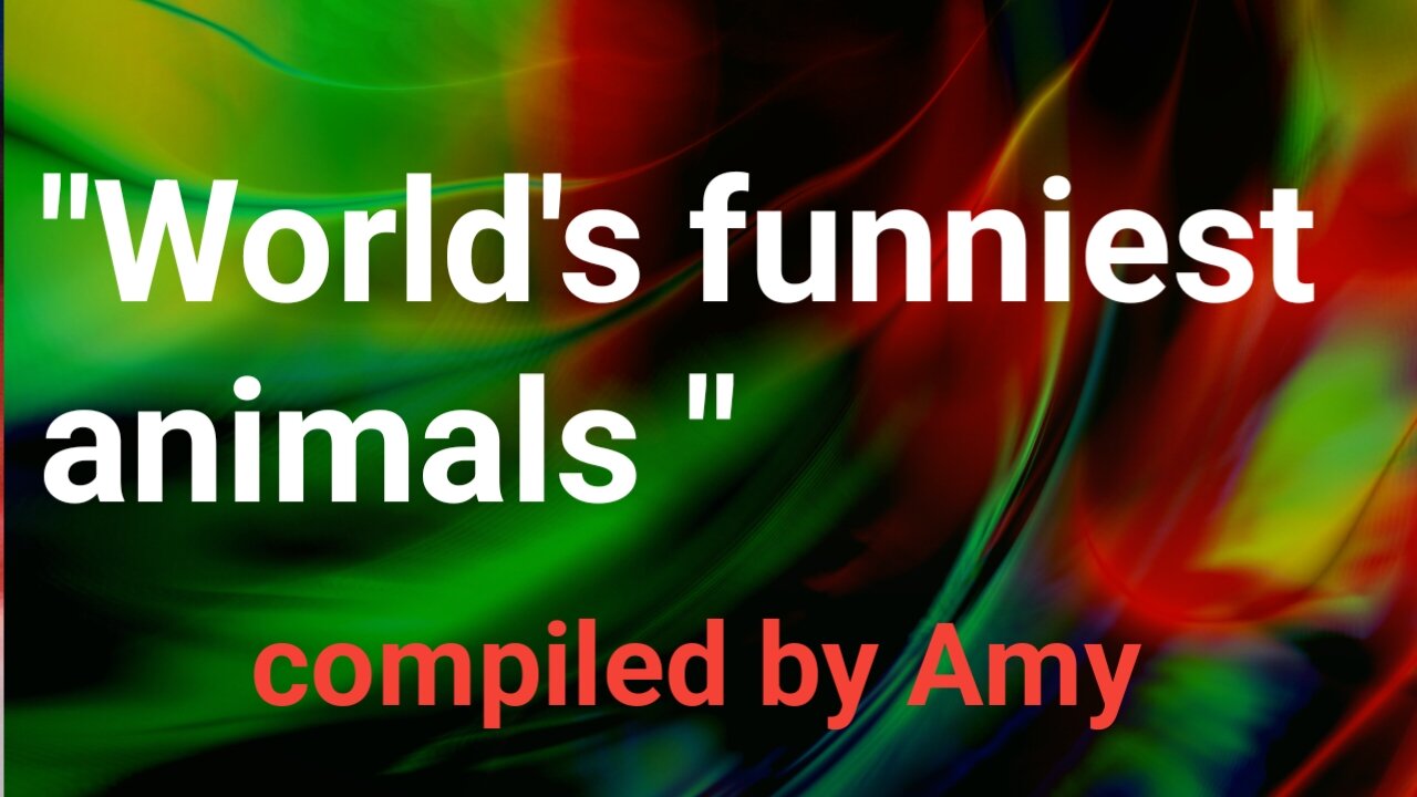 "World's funniest animals" by Khalil
