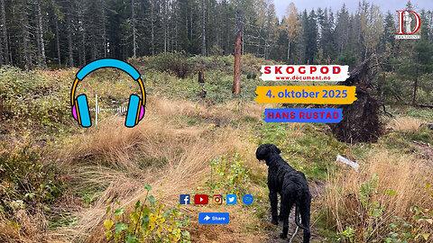 Skogpod 4. oktober 2025
