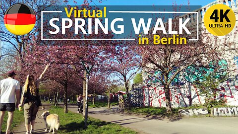 🌸 22°C Cherry Blossom Walking Tour BERLIN [4K🇩🇪]