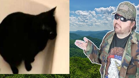 Cat Poops In Bathtub (Melbvale) - Reaction! (BBT)