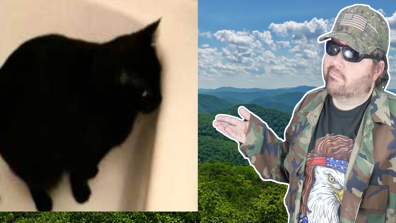 Cat Poops In Bathtub (Melbvale) - Reaction! (BBT)