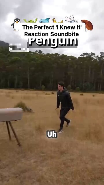 If animals did parkour part 2🤗😂😂