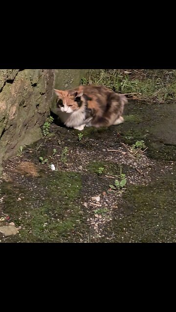 We love you Jyoti, we love you 💕