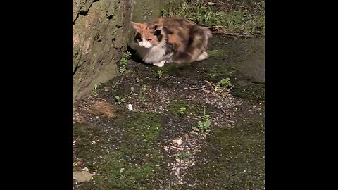 We love you Jyoti, we love you 💕