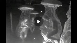 PHIL SCHNEIDER about BLACK BUDGETS, ALIENS, LIST OF UNDERGROUND BASES IN THE USA & more