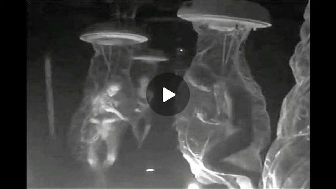 PHIL SCHNEIDER about BLACK BUDGETS, ALIENS, LIST OF UNDERGROUND BASES IN THE USA & more