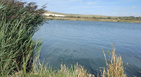 Monodruid (Live) Newhaven — Piddinghoe (26th August, 2025)