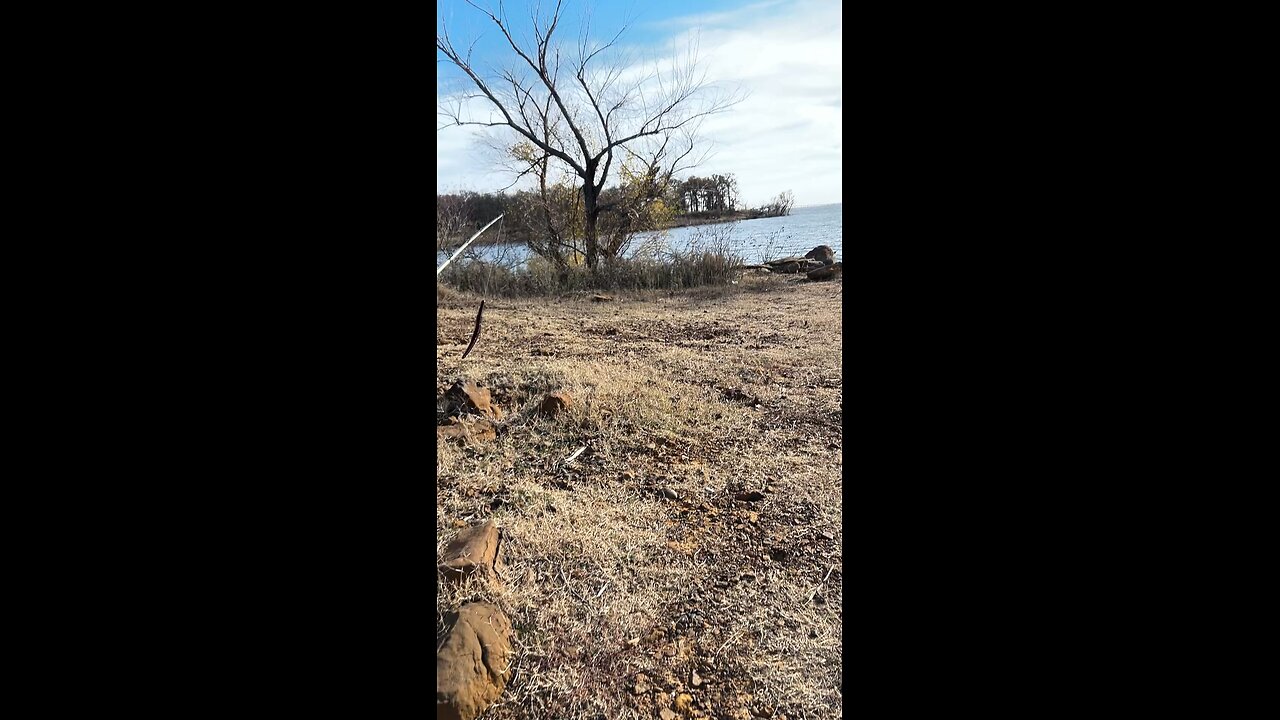 Catfish lake Lewisville tx