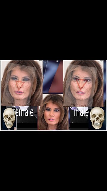 ManLania v Big Mike. FAKE, or ?