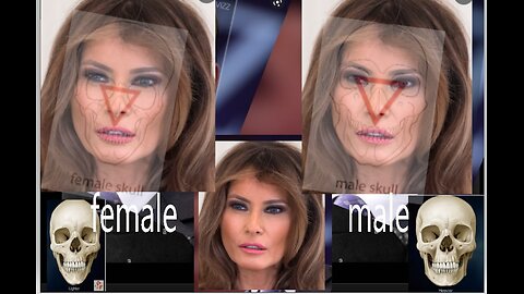 ManLania v Big Mike. FAKE, or ?