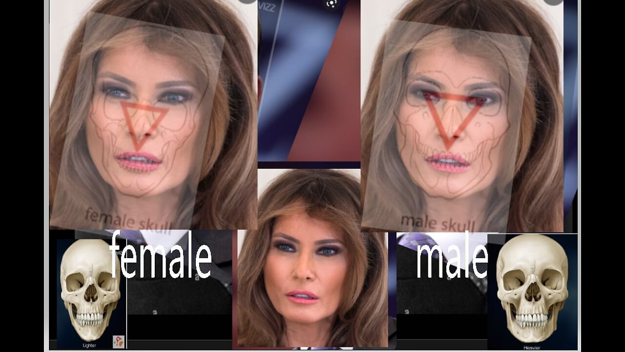 ManLania v Big Mike. FAKE, or ?