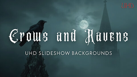 Crows and Ravens – 5-Hour UHD Slideshow Backgrounds (10 Images – 1 Every 30 Minutes)