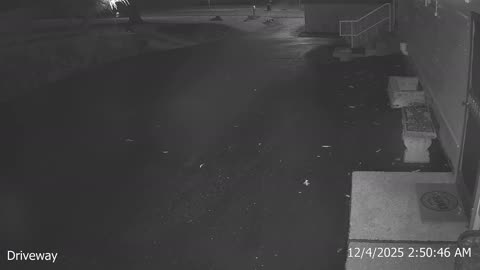 Bear in Big Stone Gap, VA