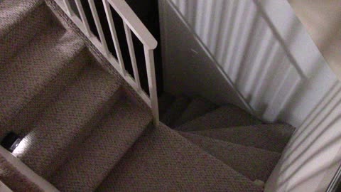 ‎September ‎5, ‎2020, ‏‎1:20:38 AM