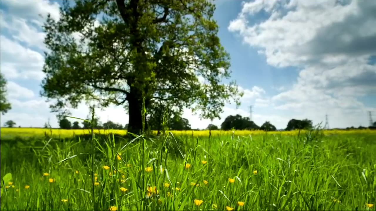 Relaxing music