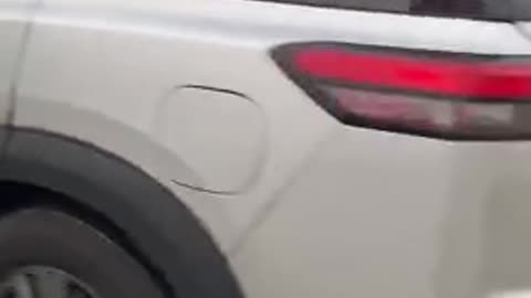 ICE detains an illegal for deportation