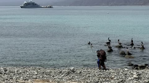 Cousin Sue's Auntie Hacks: Natural Cures for Health