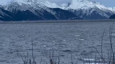 😨👻 GhostlyToksa #creepy #ghost #ghostlytoksa #haunted #paranormal #creepytok | TheHauntingHour