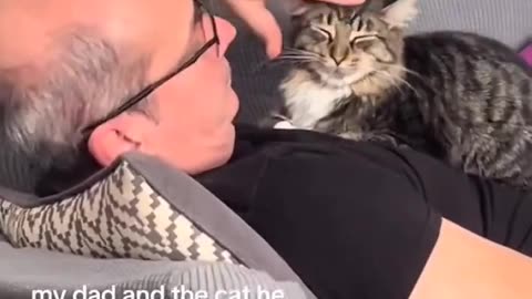 The dad and the cat he didn't want