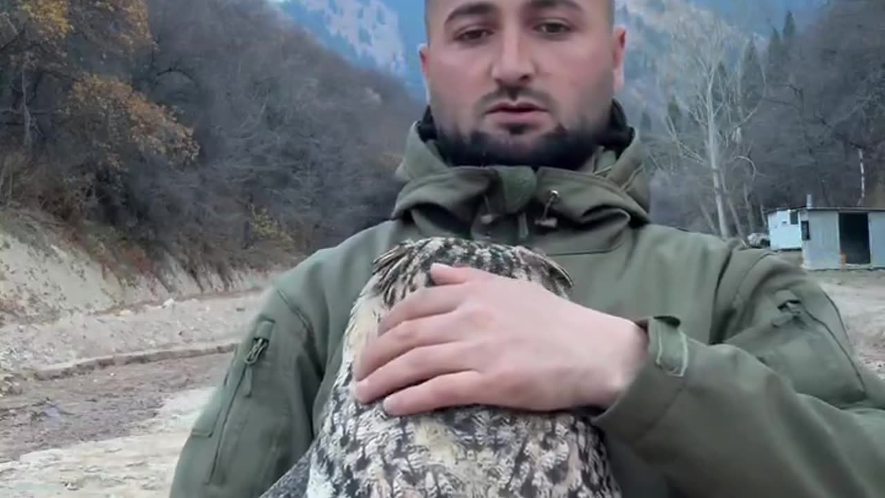 Look at the size of this Eurasian eagle owl