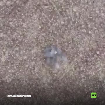 Rusia rastrea y aniquila a nacionalistas ucranianos