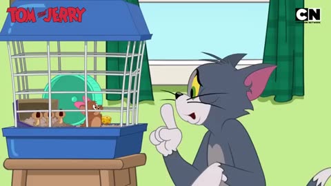 Tom and Jerry