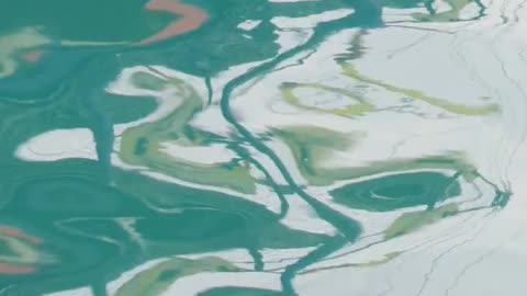 Daily Horoscope | Aquarius 🌟