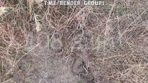 Warning! Brutal Selection of Drops From the 108th Air Assault Regiment