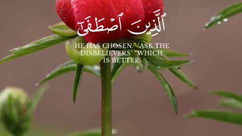 🔥 Surah An-Naml 27:59 سورة النمل 🌸🕋 #quran #shorts #islamicshorts #tawheed #faith